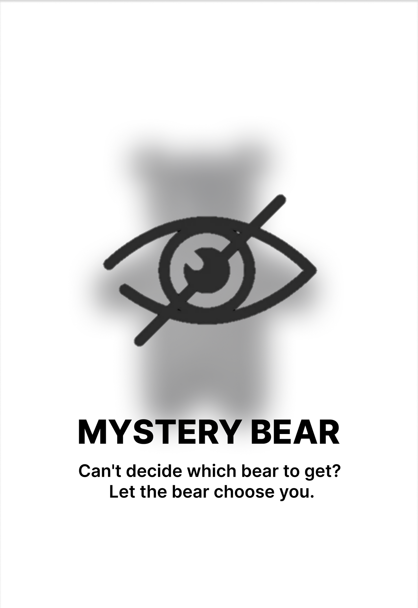 MYSTERY BEAR